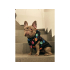 Zateplená softshellová bunda pro psa, nepromokavá - vzor "barevné tlapky", velikost M