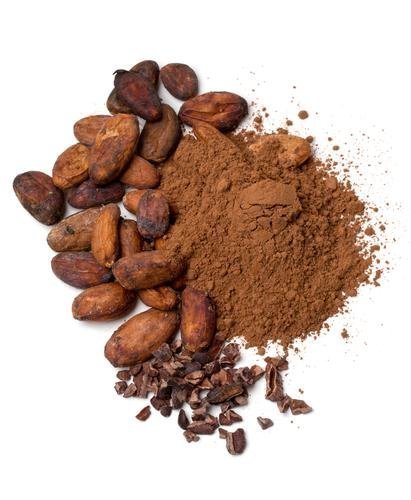 Kakaový prášek