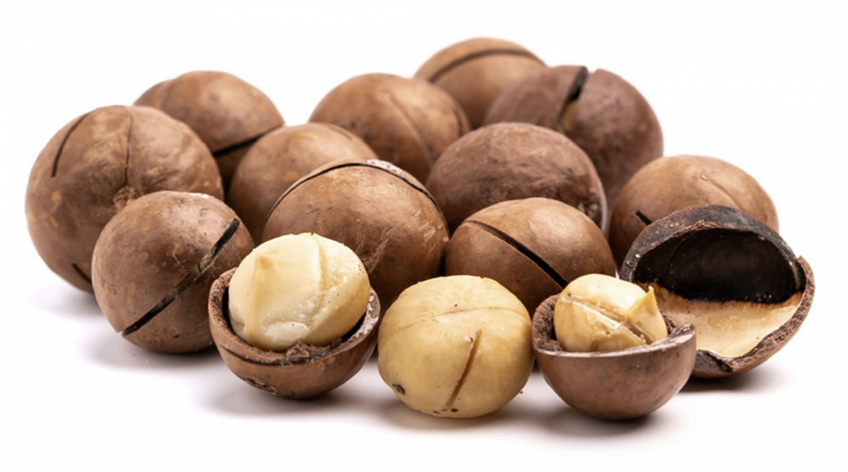 Makadamové ořechy