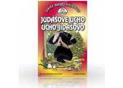 Sušené houby - UCHO JIDÁŠOVO
