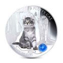 AMERICKÝ CURL KOČKA Kočky a psi 1 oz stříbrná mince 2013