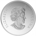 RAFTING NA DIVOKÉ VODĚ 0,5 oz stříbrná mince 2015