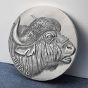 BUFFALO Expressions of Wildlife 2 oz stříbrná mince 2022