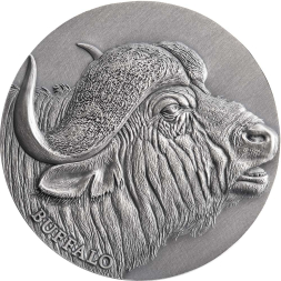 BUFFALO Expressions of Wildlife 2 oz stříbrná mince 2022