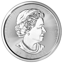 TREE OF LIFE 10 oz stříbrná mince 2017