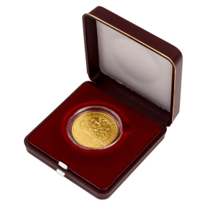 Zlatá mince 5000 Kč Litoměřice 2022 standard