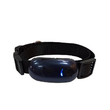 GPS obojek