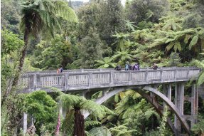 Whanganui Journey 