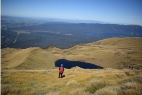 Cesta na Eldrig peak - Fiordland 