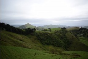 cesta z Dunedin do Otago Peninsula 