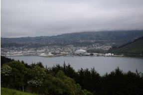 cesta z Dunedin do Otago Peninsula 