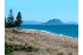 Ohope beach 