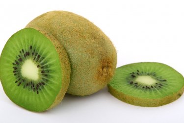 Kiwi - sady