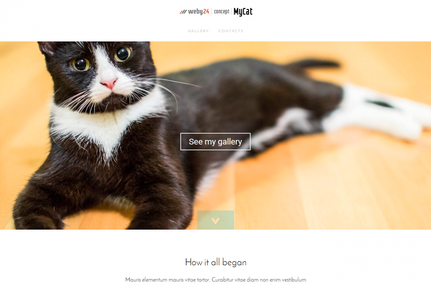 Koncept MyCat
